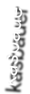 kasbauer
