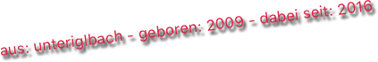aus: unteriglbach - geboren: 2009 - dabei seit: 2016
